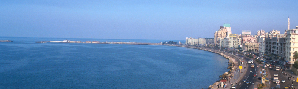 Alexandria view
