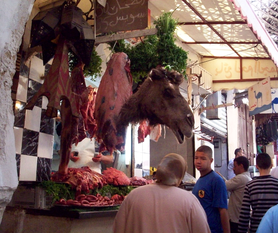 The gruesome camel butcher - Fez