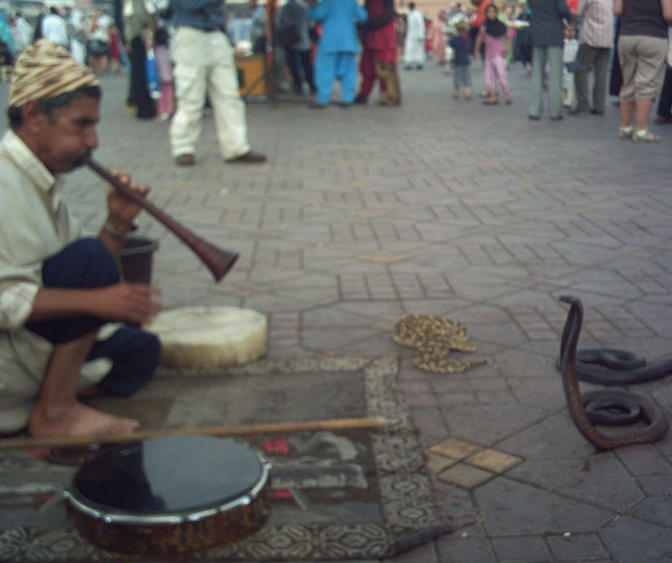 Snake Charmers in the Djema el Fna'a
